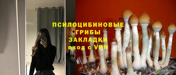 соль курить ск Богданович